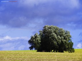SPESSARTPIX PHOTOGRAPHY