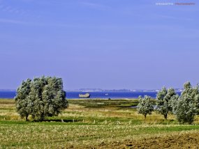 SPESSARTPIX PHOTOGRAPHY